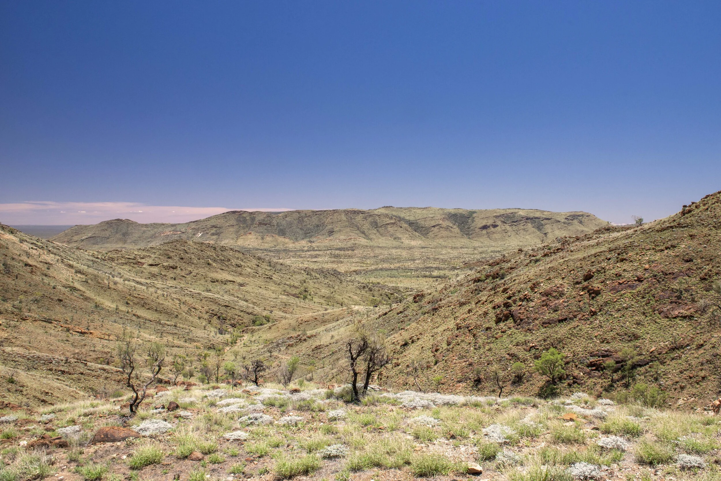 Central Harts Range 4WD Track and Walk: Central Desert — ABOUT North